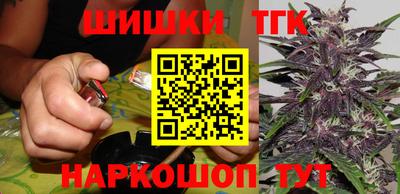индика Обь