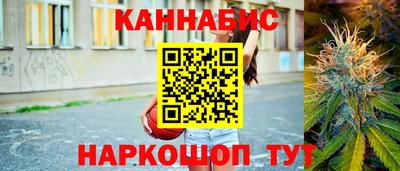 индика Обь