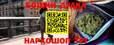 индика Обь