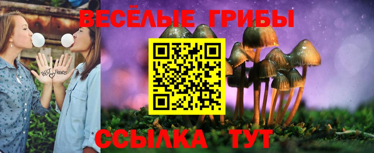 Галлюциногенные грибы ЛСД Тверь