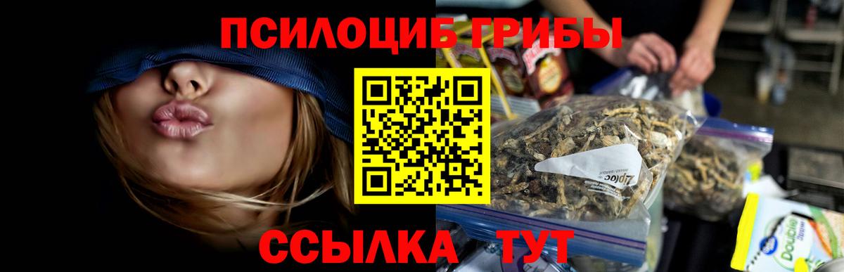 Галлюциногенные грибы ЛСД  Вход с VPN  Тверь 